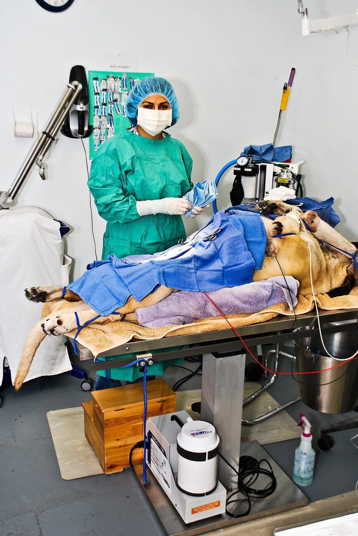 Illustrative promoted listing — your practice photo goes here