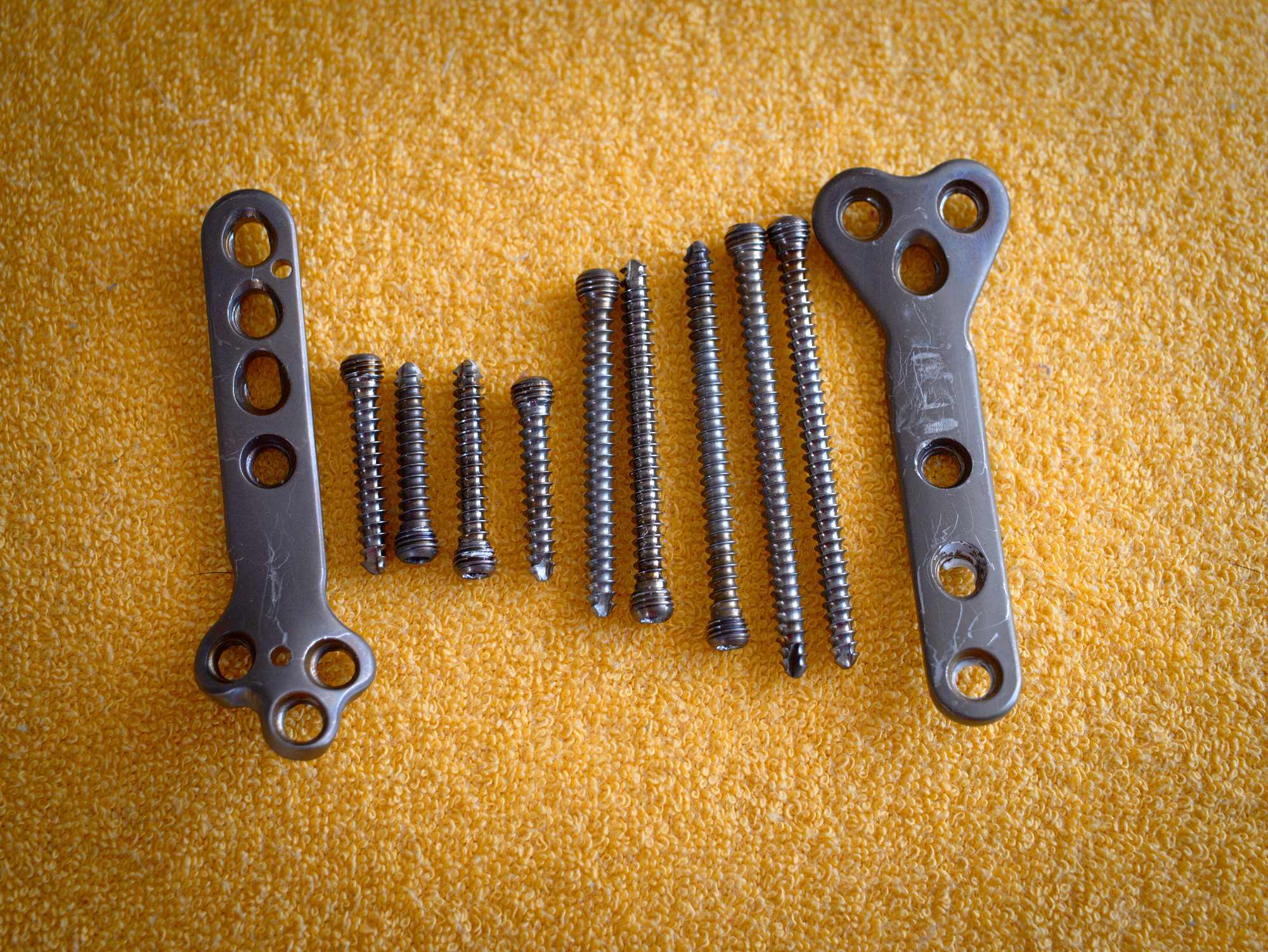 TPLO Surgery